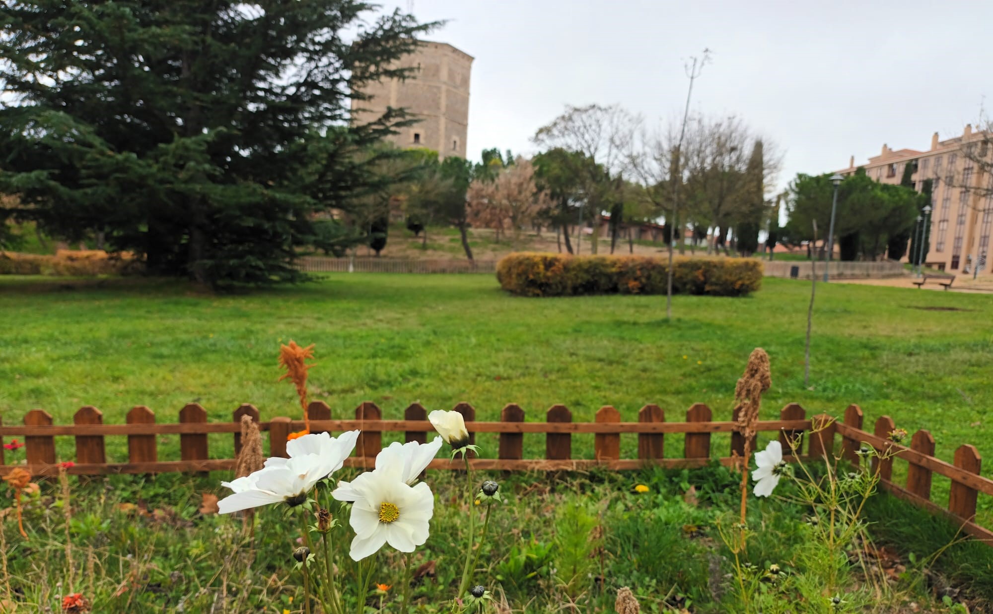 Oasis de mariposas