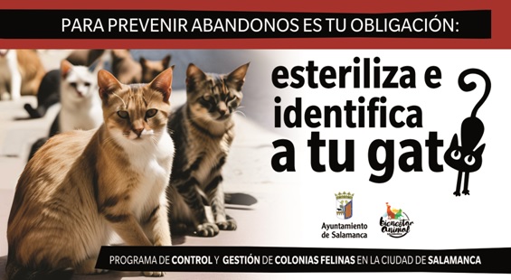 Campaña Gatos