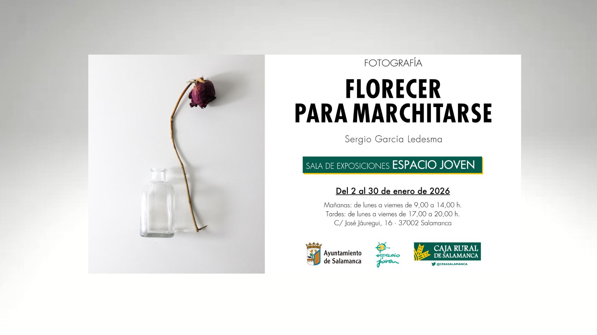 Exposicion Noviembre 2025