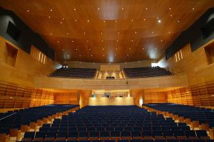 Centro de las Artes Escenicas y de la Musica