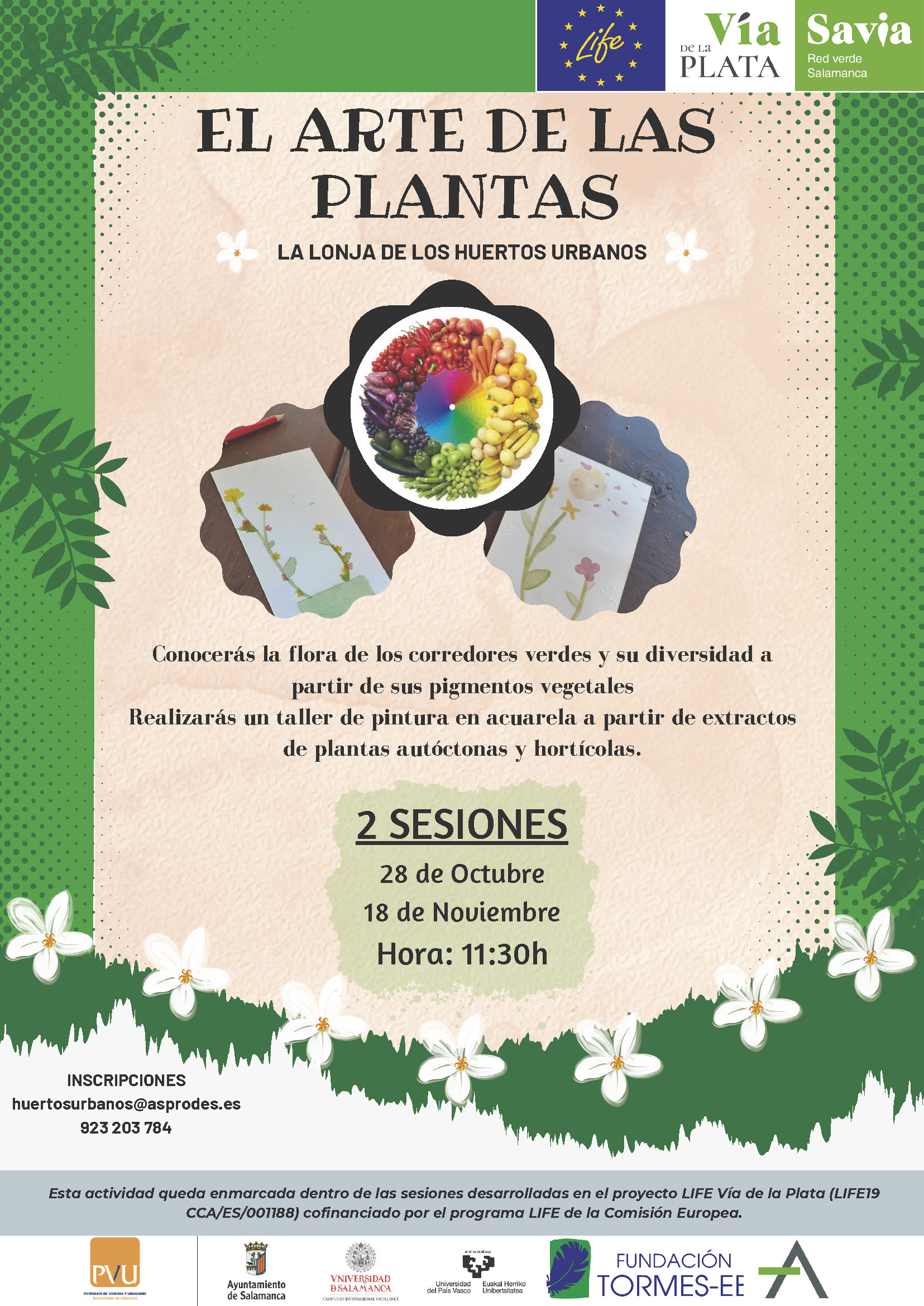 El arte de las plantas  nuevo taller que une arte y botanica