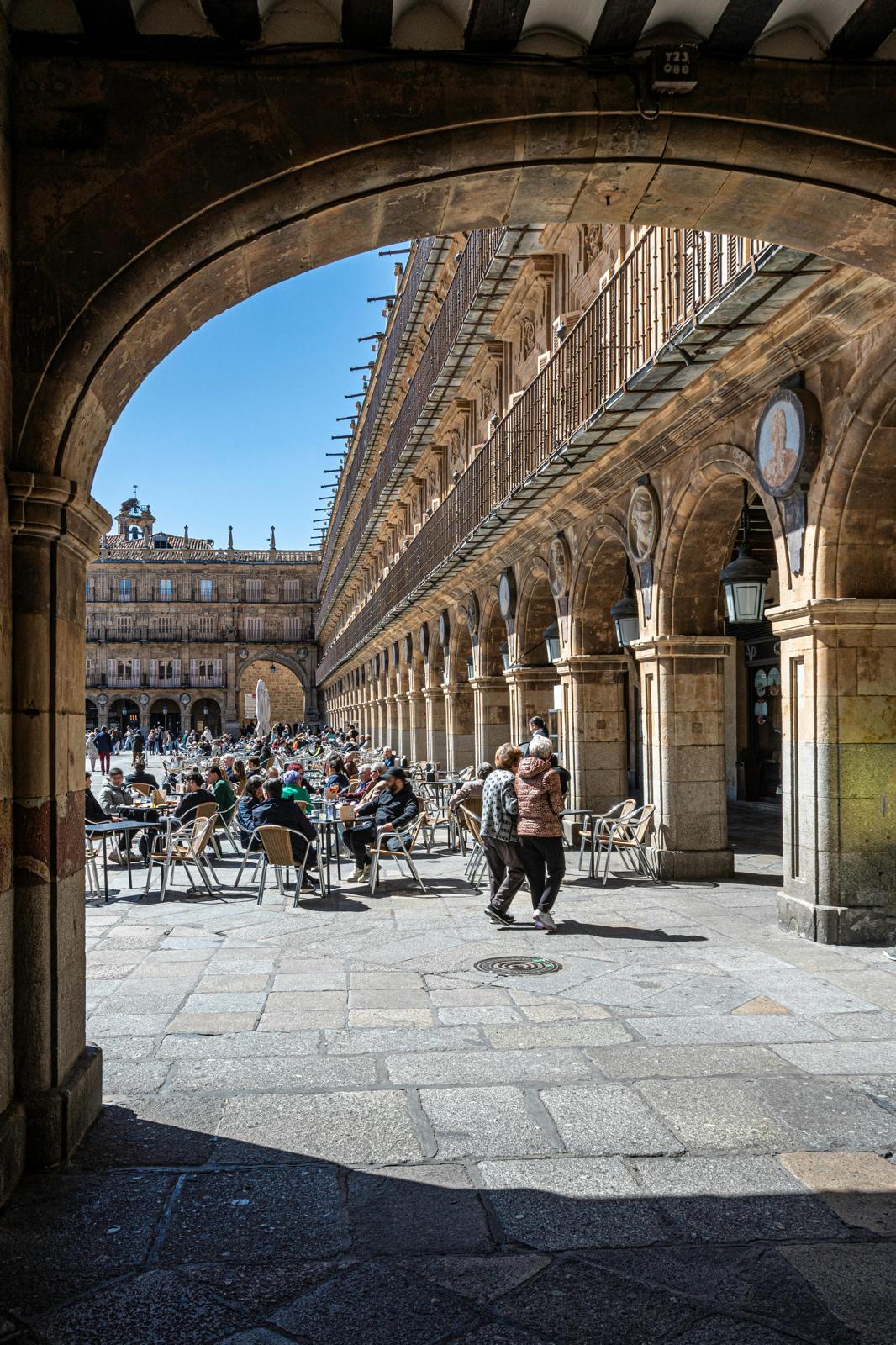 Comercio y Mercados
