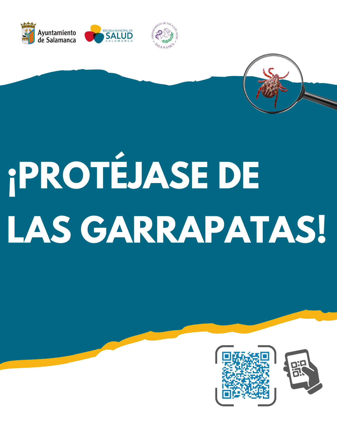 garrapatas